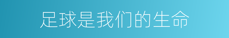 足球是我们的生命的同义词