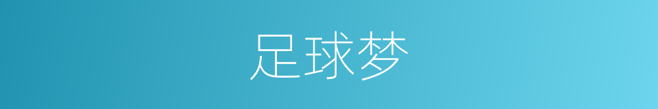 足球梦的同义词