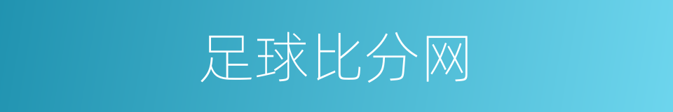 足球比分网的同义词