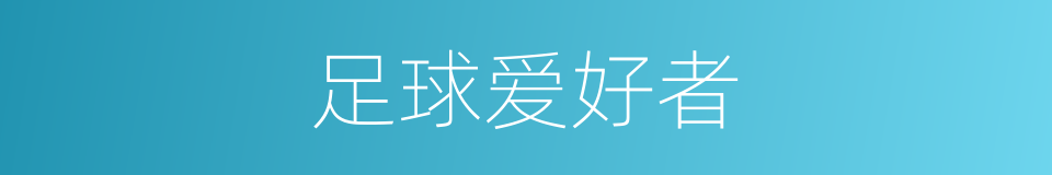 足球爱好者的同义词