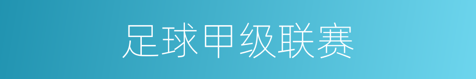 足球甲级联赛的同义词