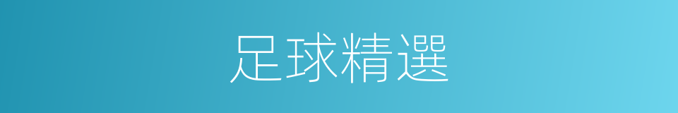 足球精選的同義詞