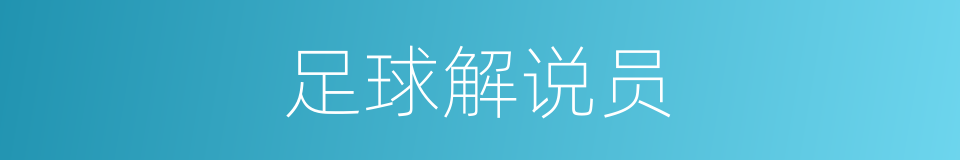 足球解说员的同义词