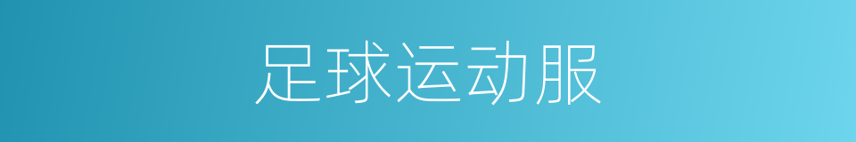 足球运动服的同义词