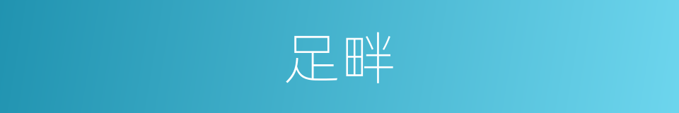 足畔的同义词