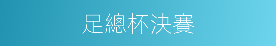 足總杯決賽的同義詞