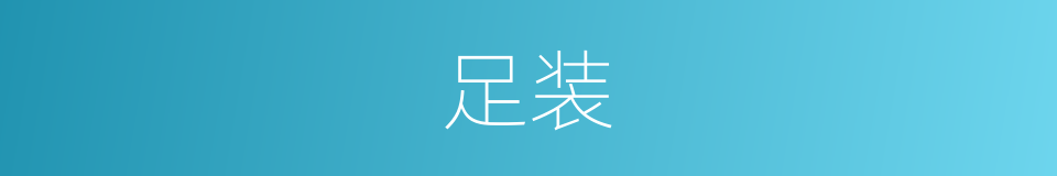 足装的同义词
