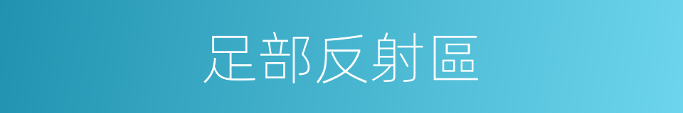 足部反射區的同義詞