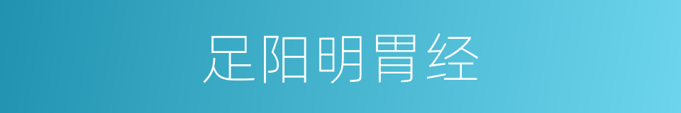 足阳明胃经的同义词