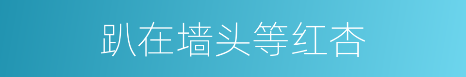 趴在墙头等红杏的同义词