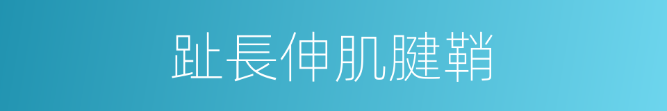 趾長伸肌腱鞘的同義詞