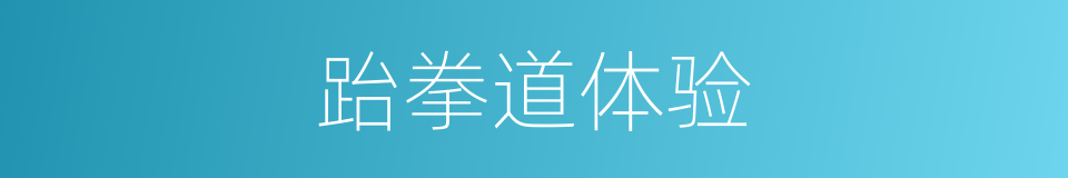 跆拳道体验的同义词