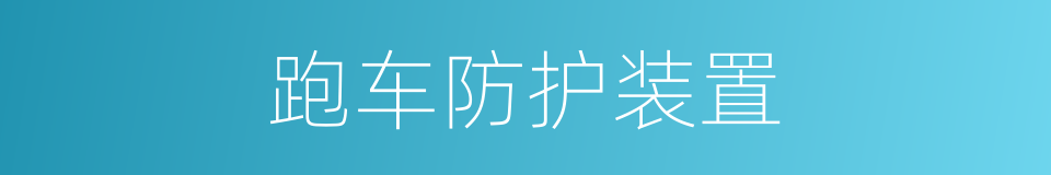 跑车防护装置的同义词