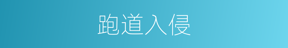 跑道入侵的同义词