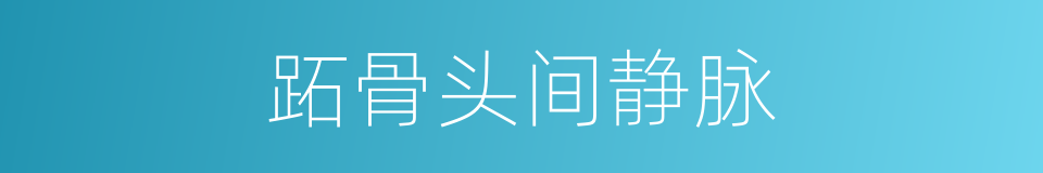 跖骨头间静脉的同义词