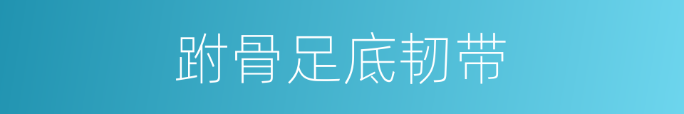 跗骨足底韧带的同义词