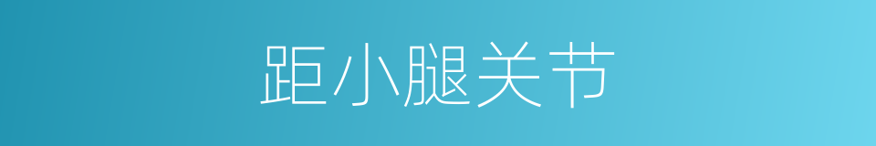 距小腿关节的同义词