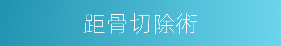 距骨切除術的同義詞