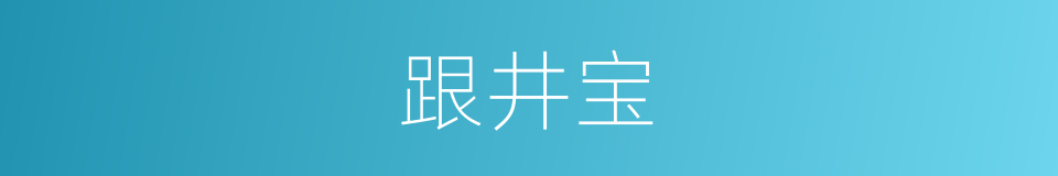 跟井宝的同义词