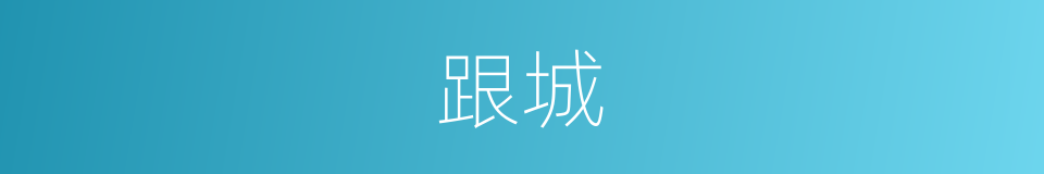 跟城的同义词