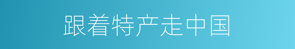 跟着特产走中国的同义词