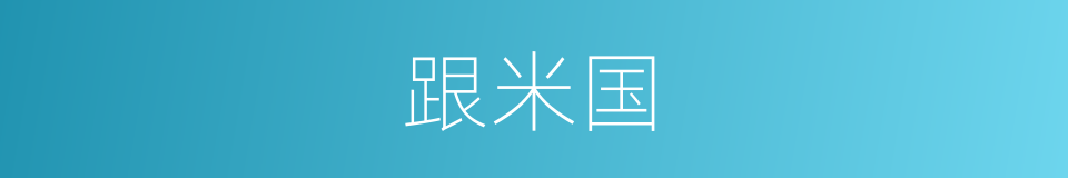 跟米国的同义词