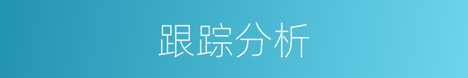 跟踪分析的同义词
