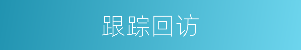 跟踪回访的同义词