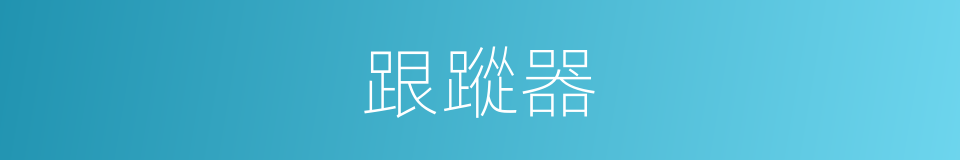 跟蹤器的同義詞