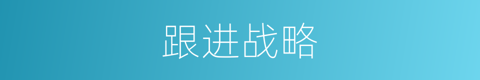 跟进战略的同义词