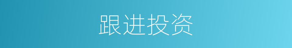 跟进投资的同义词