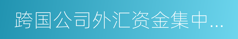 跨国公司外汇资金集中运营管理的同义词