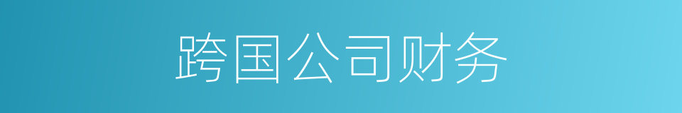 跨国公司财务的同义词