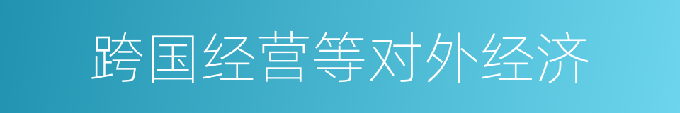 跨国经营等对外经济的同义词