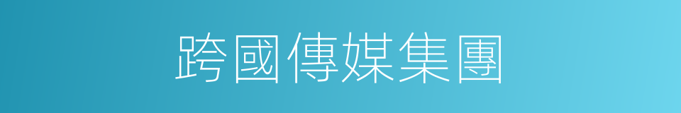 跨國傳媒集團的同義詞