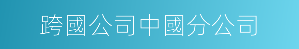 跨國公司中國分公司的同義詞