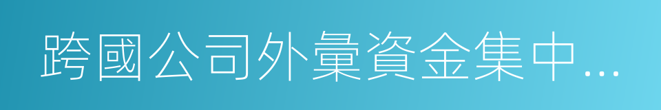 跨國公司外彙資金集中運營管理規定的同義詞