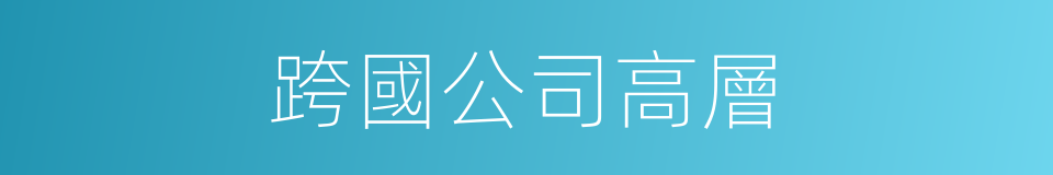 跨國公司高層的同義詞