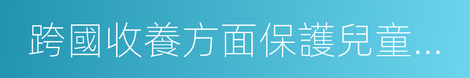 跨國收養方面保護兒童及合作公約的同義詞