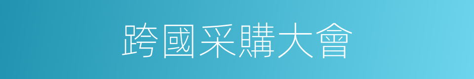跨國采購大會的同義詞