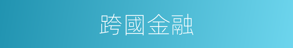 跨國金融的同義詞