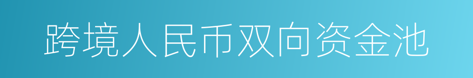 跨境人民币双向资金池的同义词