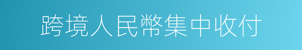 跨境人民幣集中收付的同義詞