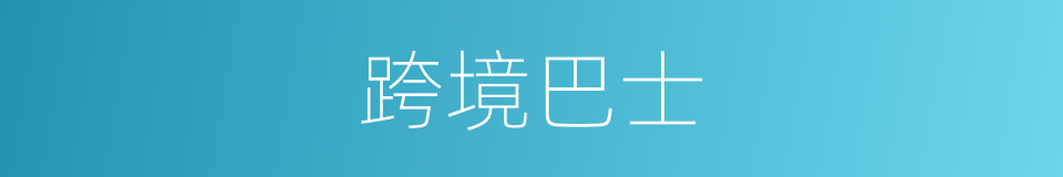 跨境巴士的同义词