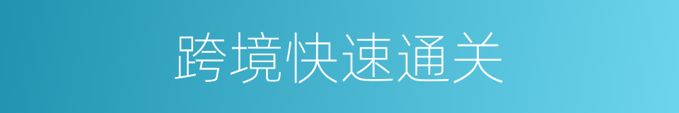 跨境快速通关的同义词