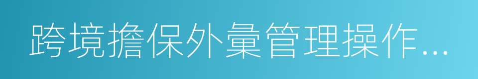 跨境擔保外彙管理操作指引的同義詞