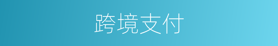 跨境支付的同义词