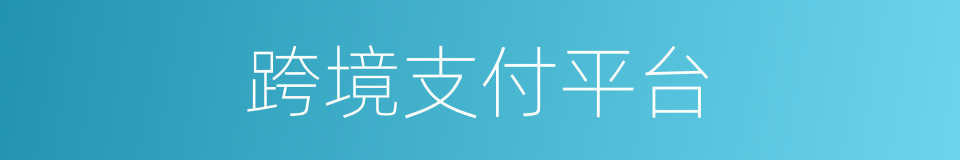 跨境支付平台的同义词
