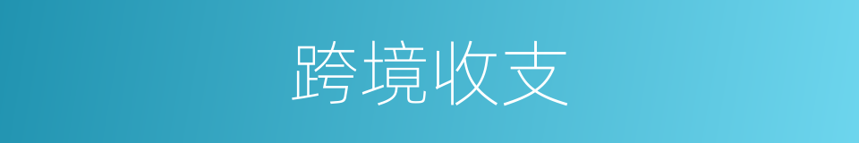 跨境收支的同义词