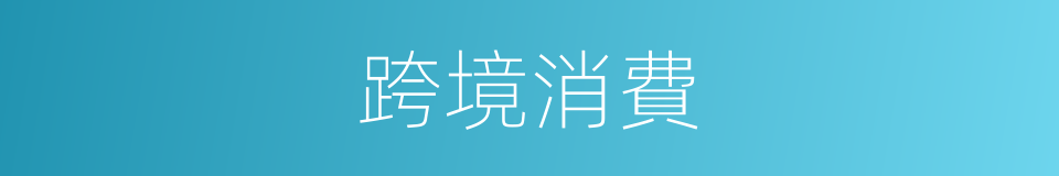 跨境消費的同義詞